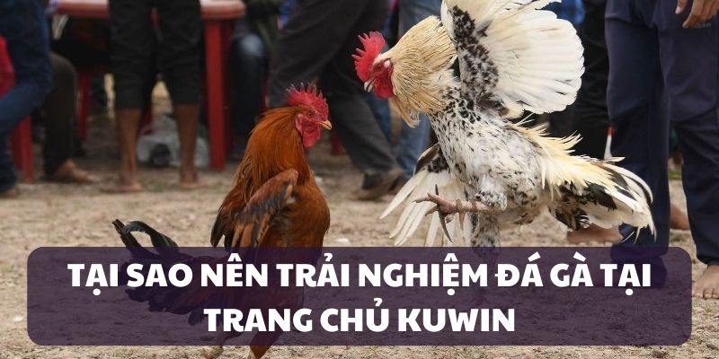 Ưu điểm của sảnh