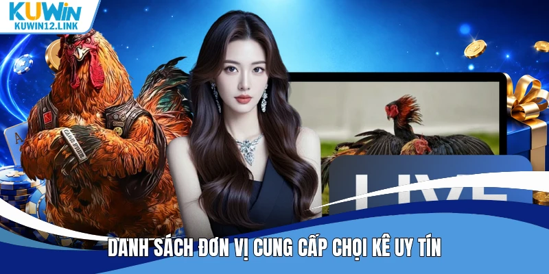 Danh sách đơn vị cung cấp chọi kê uy tín